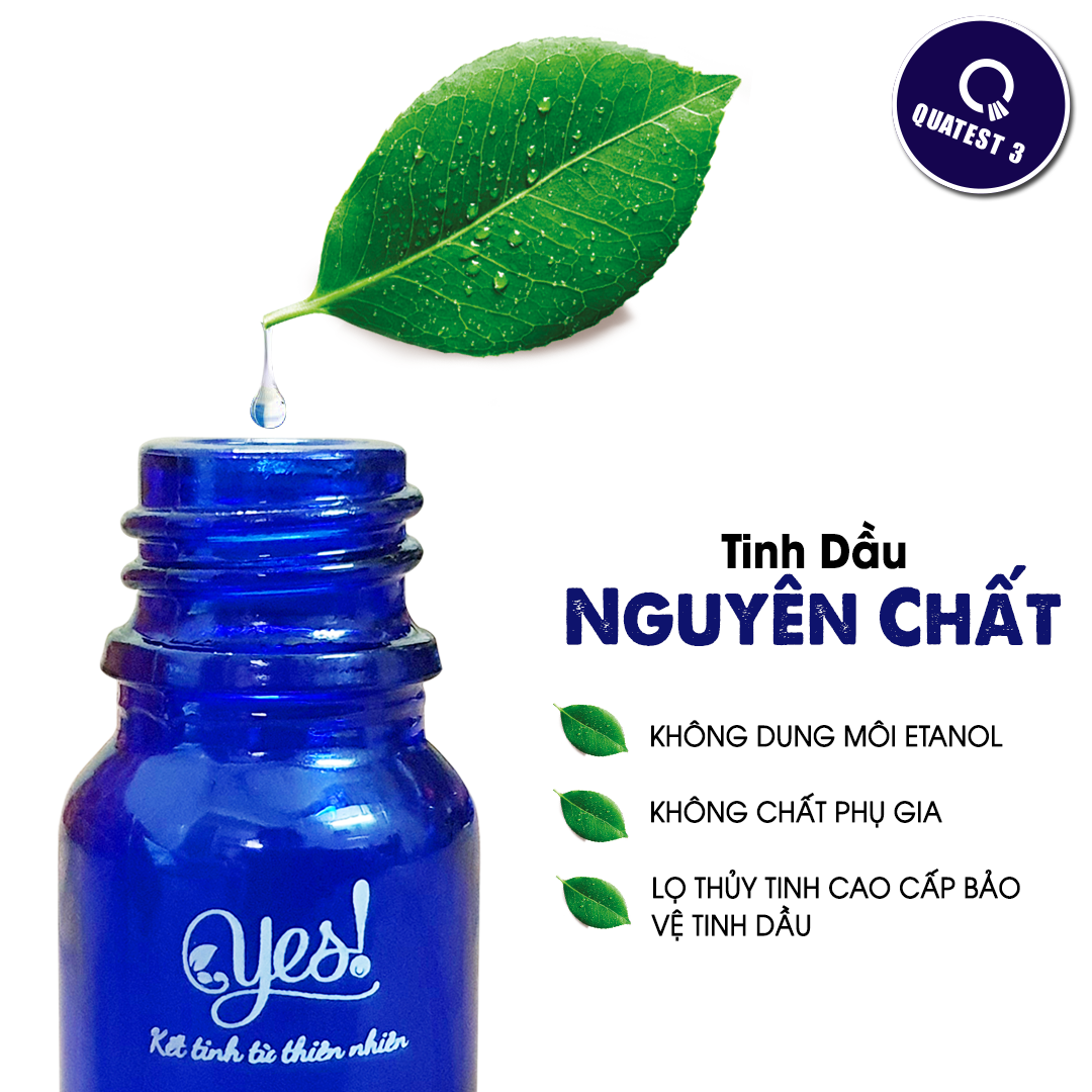 TINH DẦU HƯƠNG THẢO YES! ( ROSEMARY ESSENTIAL OIL )