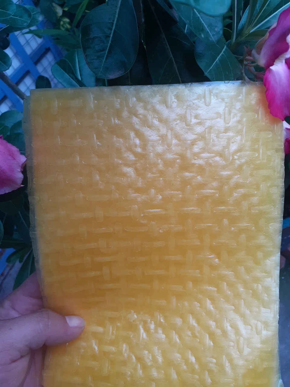 [500G]- Bánh Tráng Dưa Hấu Vàng Quỳnh Anh