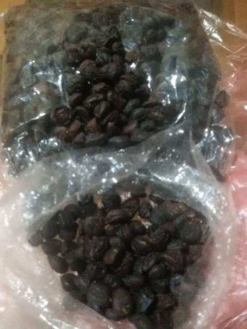Hạt Dổi Nếp 100gr
