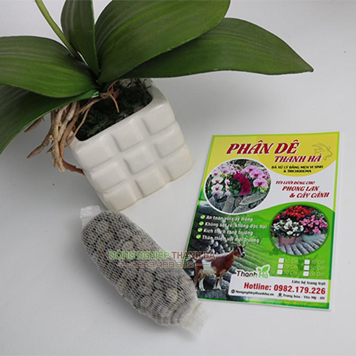 Combo 10 túi phân dê cho lan và cây cảnh dài 10cm - GT7