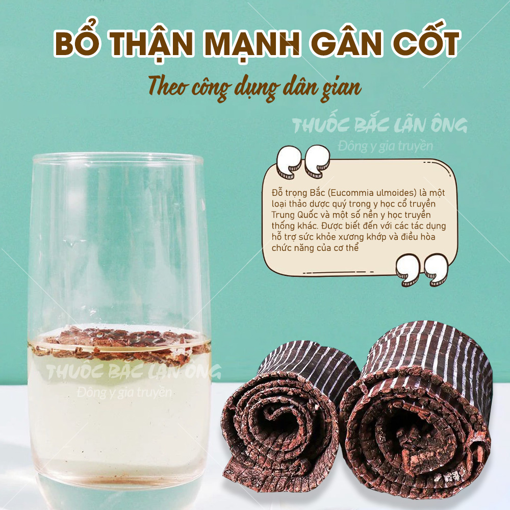 Đỗ trọng bắc 100g, miếng to, dập sợi đẹp, khô, thơm - Lãn Ông