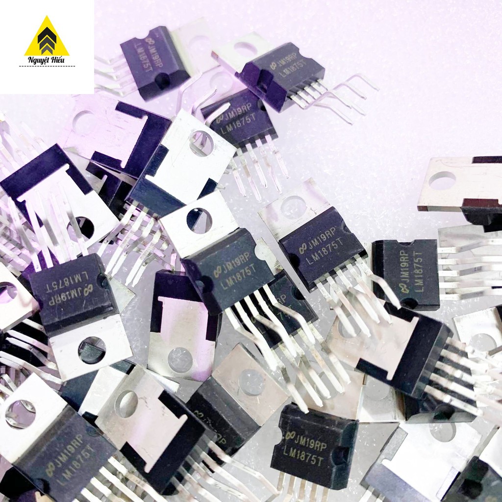 2 con ic LM1875