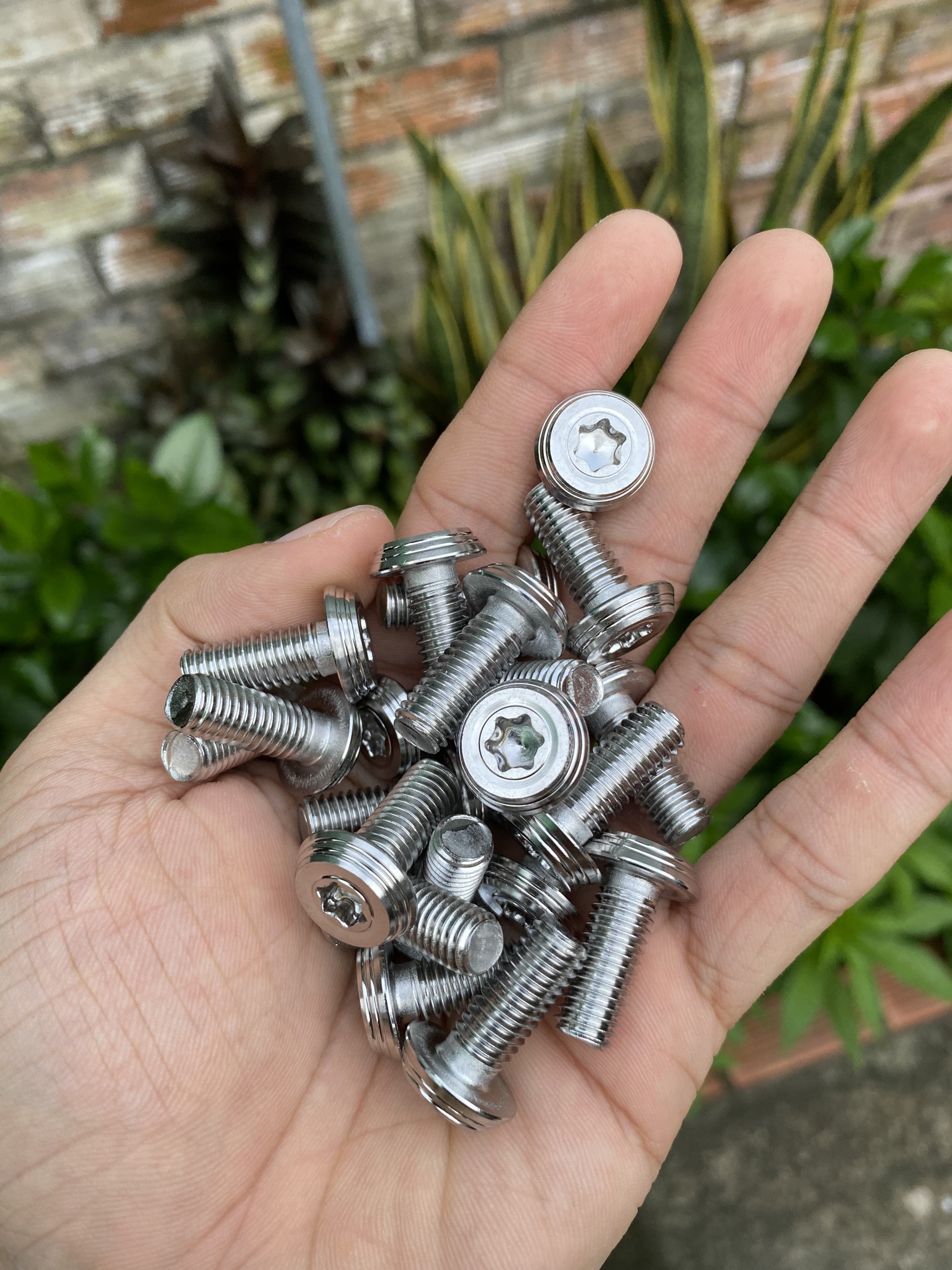 Ốc inox mẫu Thái 8li25 - gắn đĩa xe thông dụng