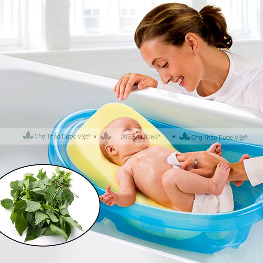 500g Kinh Giới (Lá Kinh Giới Khô, Không Lẫn Cành)