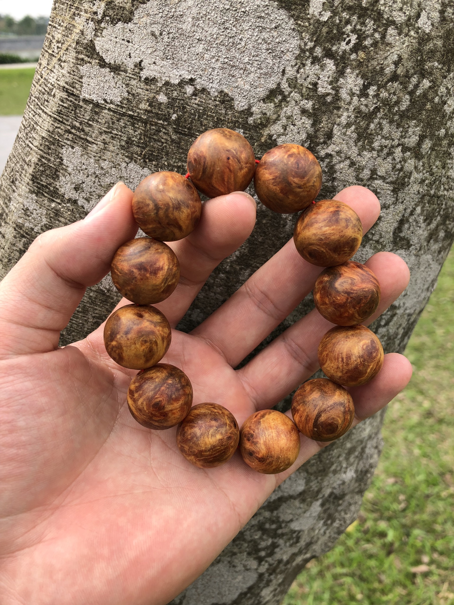 Vòng phong thuỷ Nu Hoa Huyết Long size 20mm
