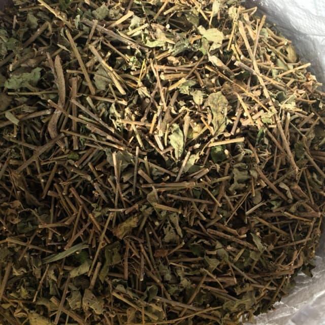 cà gai leo khô cao cấp 500g