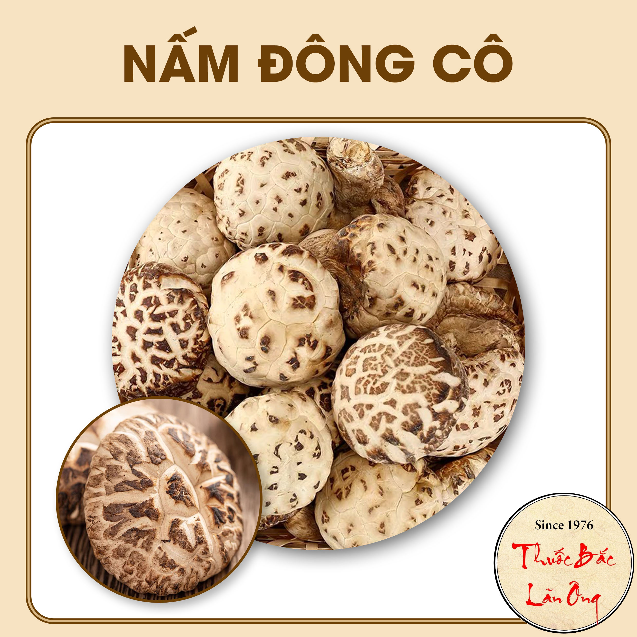 100g nấm đông cô nhật bản loại nhỏ - lãn ông