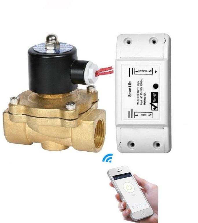 Bộ tưới cây tự động kết nối điện thoại wifi/3G/4G Van điện từ phi 21/Phi 27 và công tắc wifi smart life ,van nước điều khiển bằng điện công tắc hẹn giờ công tắc điều khiển từ xa