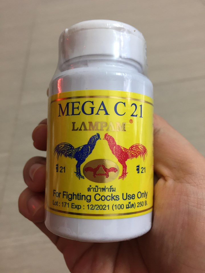 [HCM]Mega C21
