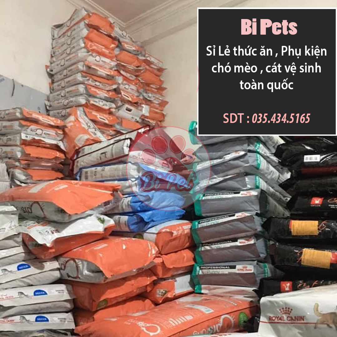 Thức Ăn Hạt Cho Mèo Catsrang - Túi 5Kg