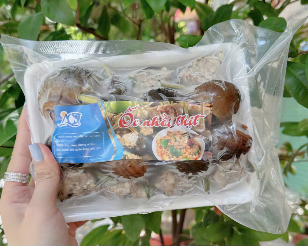 Ốc bưu nhồi thịt khay 10-12 con