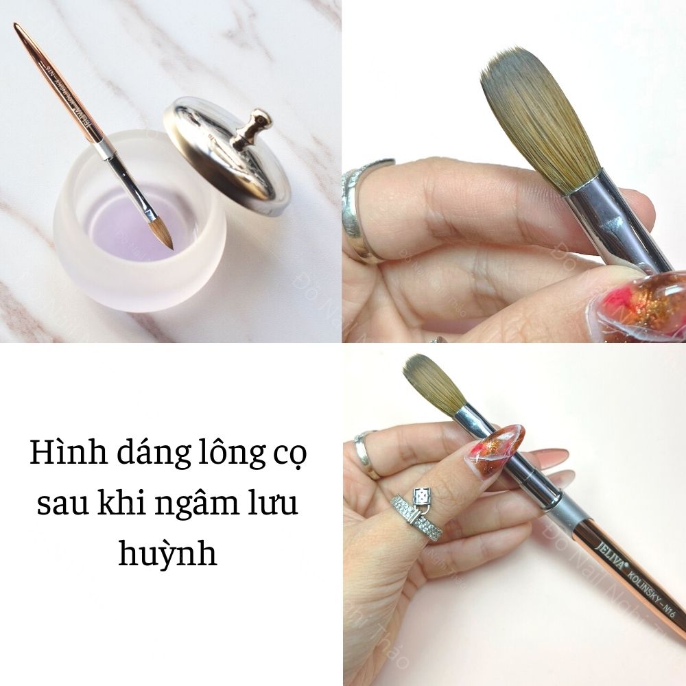Cọ đắp bột lông chồn mỹ Jeliva