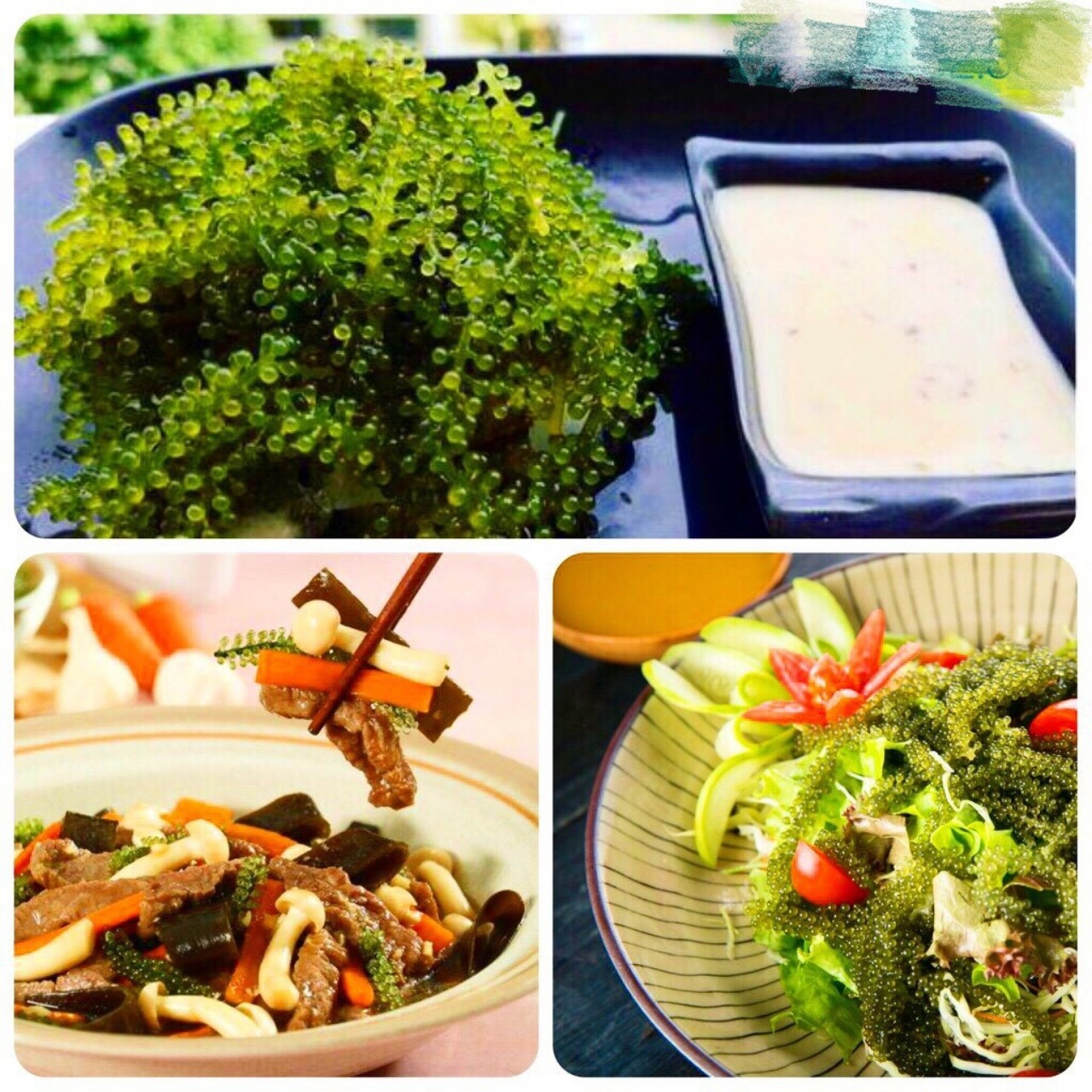 Rong Nho Tách Nước gói 200gr [tặng 2 gói Xốt Mè Rang]