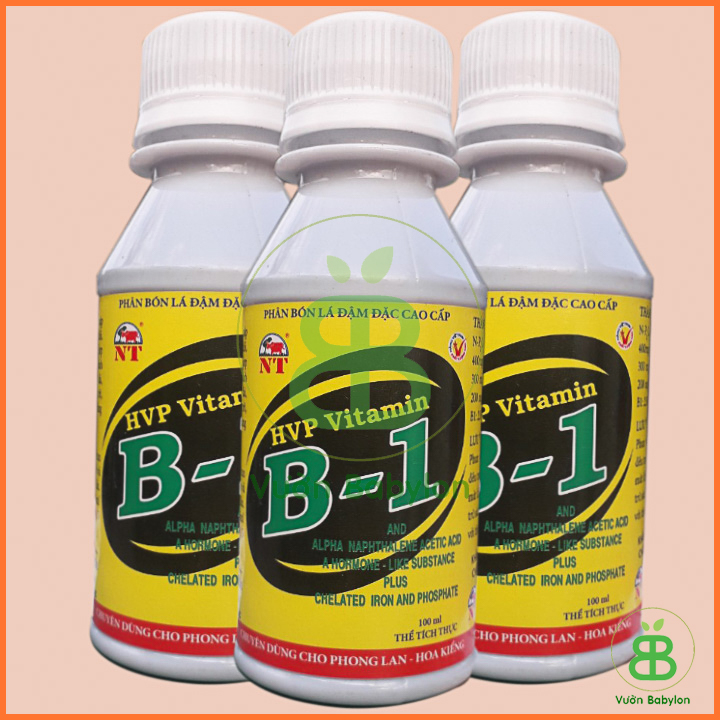 Phân Bón Lá Vitamin B1 Chuyên Cho Phong Lan 100ml
