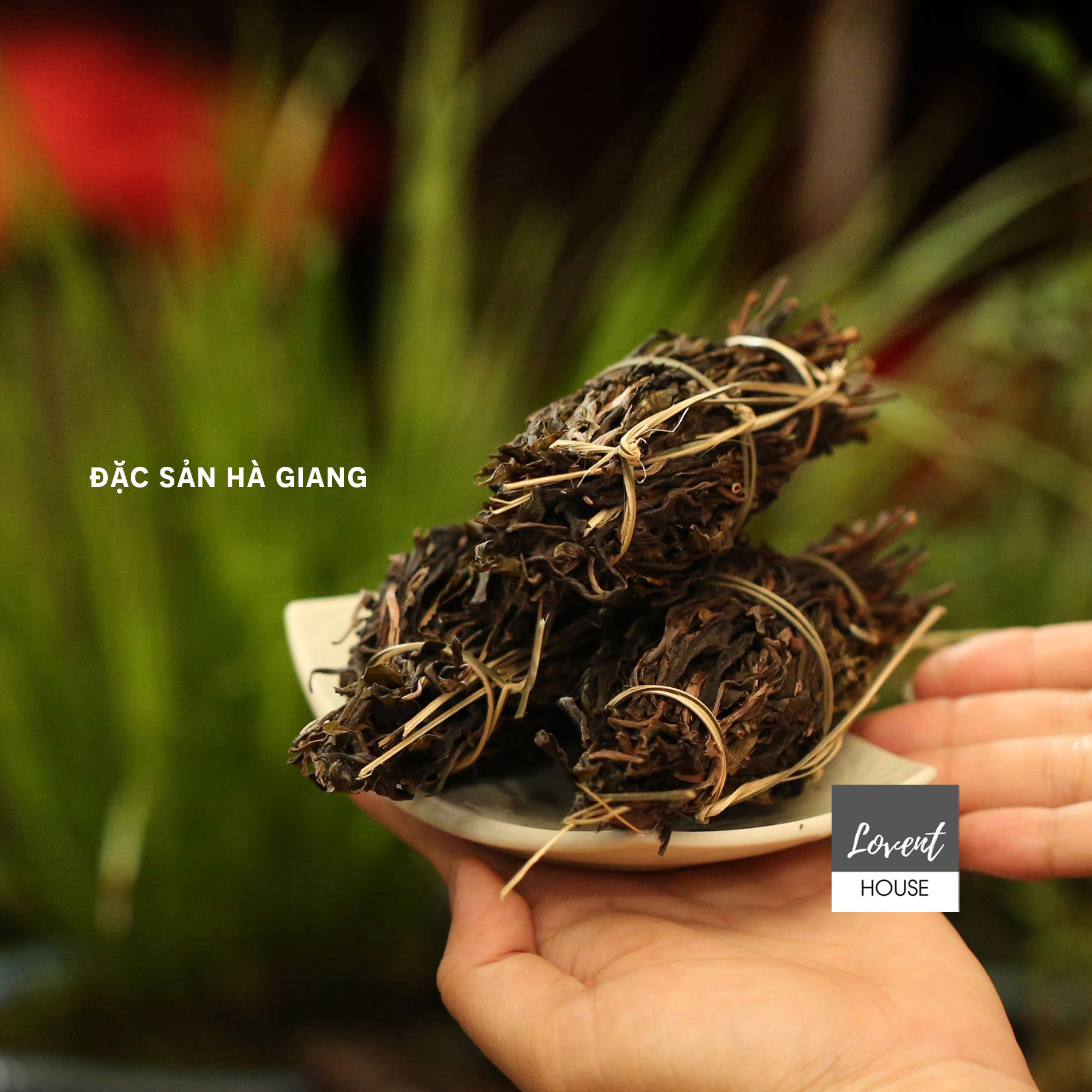 [HCM][Giá hủy diệt] [Ảnh thật] TRÀ CHÍT - SHAN TUYẾT CỔ THỤ - đặc sản Hà Giang