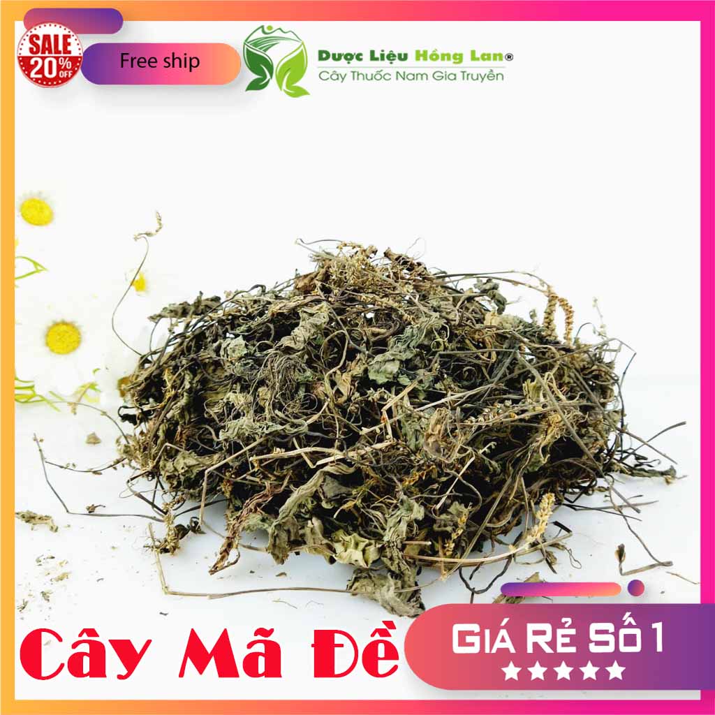 [FreeshipMAX] Combo 2kg CÂY MÃ ĐỀ khô - duoclieuhonglan