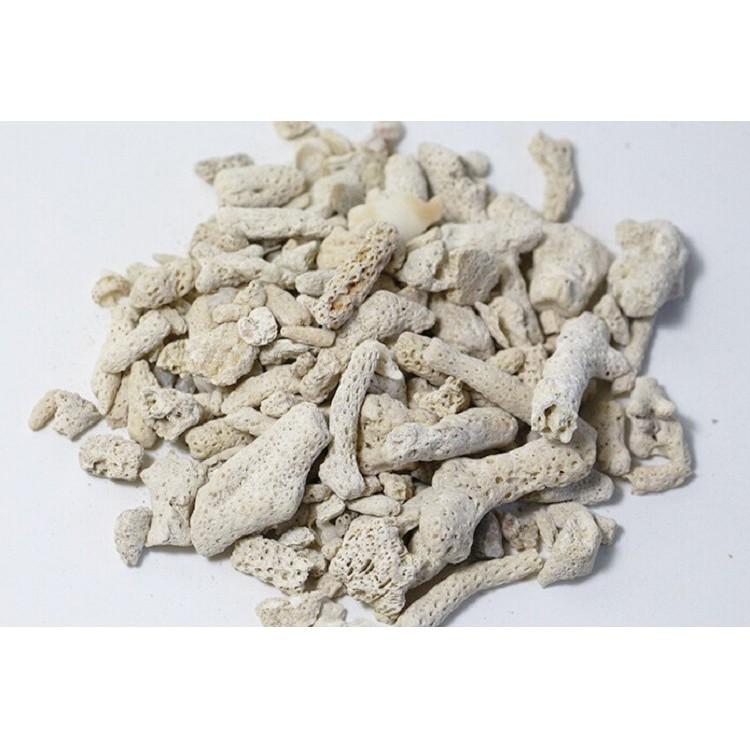 San hô vụn 500gr lọc nước cho hồ cá cảnh