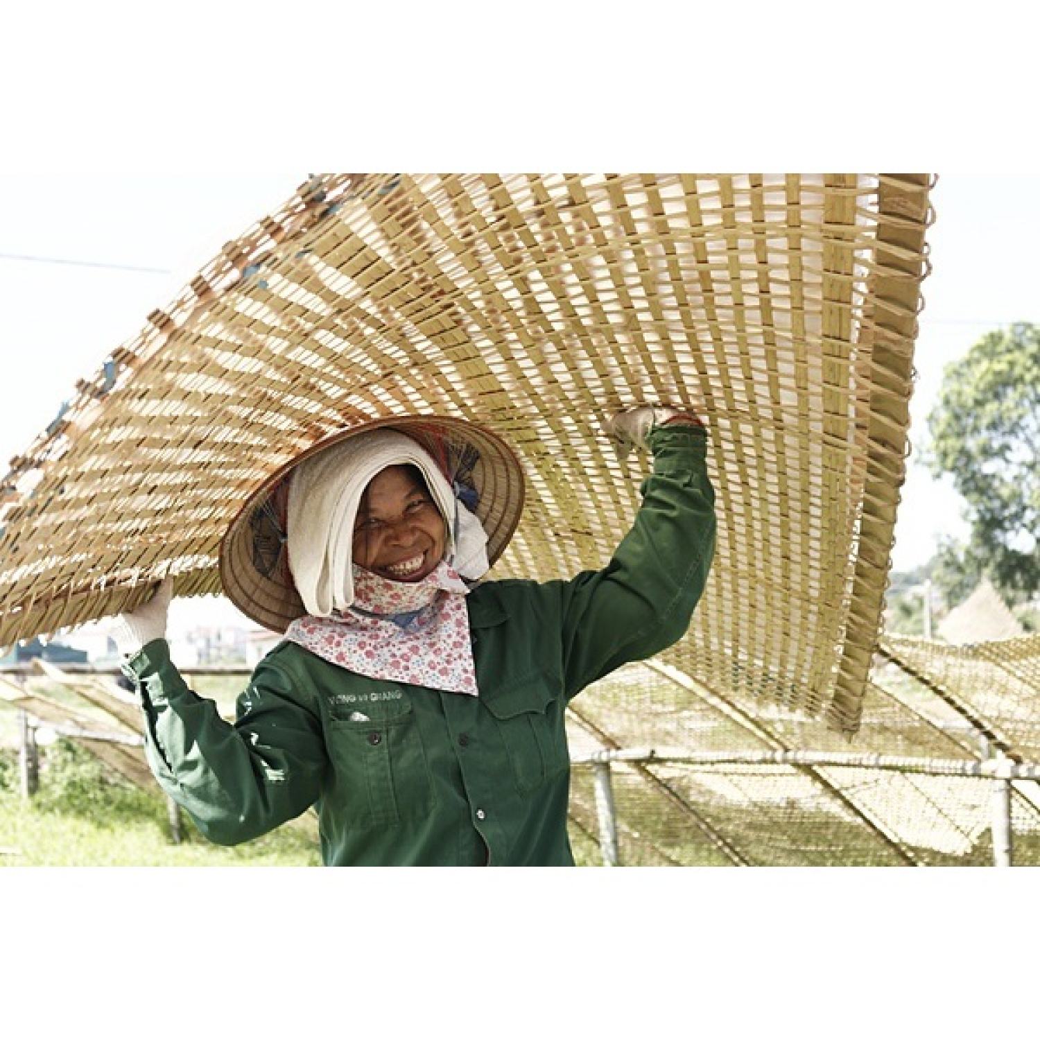 Miến dong (Quỳnh Chi Foods) sợi miến sạch, dai ngon