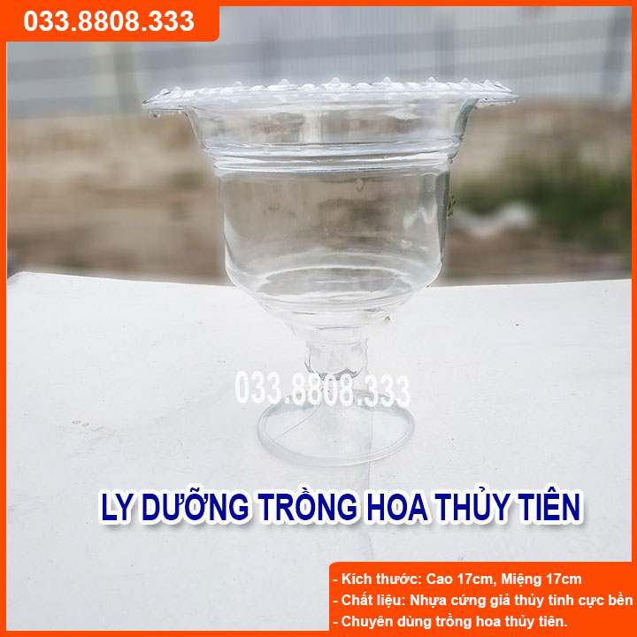 [Có sẵn] 10 Ly nhựa trồng hoa thủy tiên