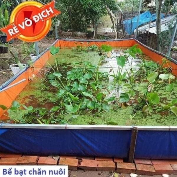 Bể bạt nuôi ốc, nuôi ếch, nuôi lươn - 3x2x1