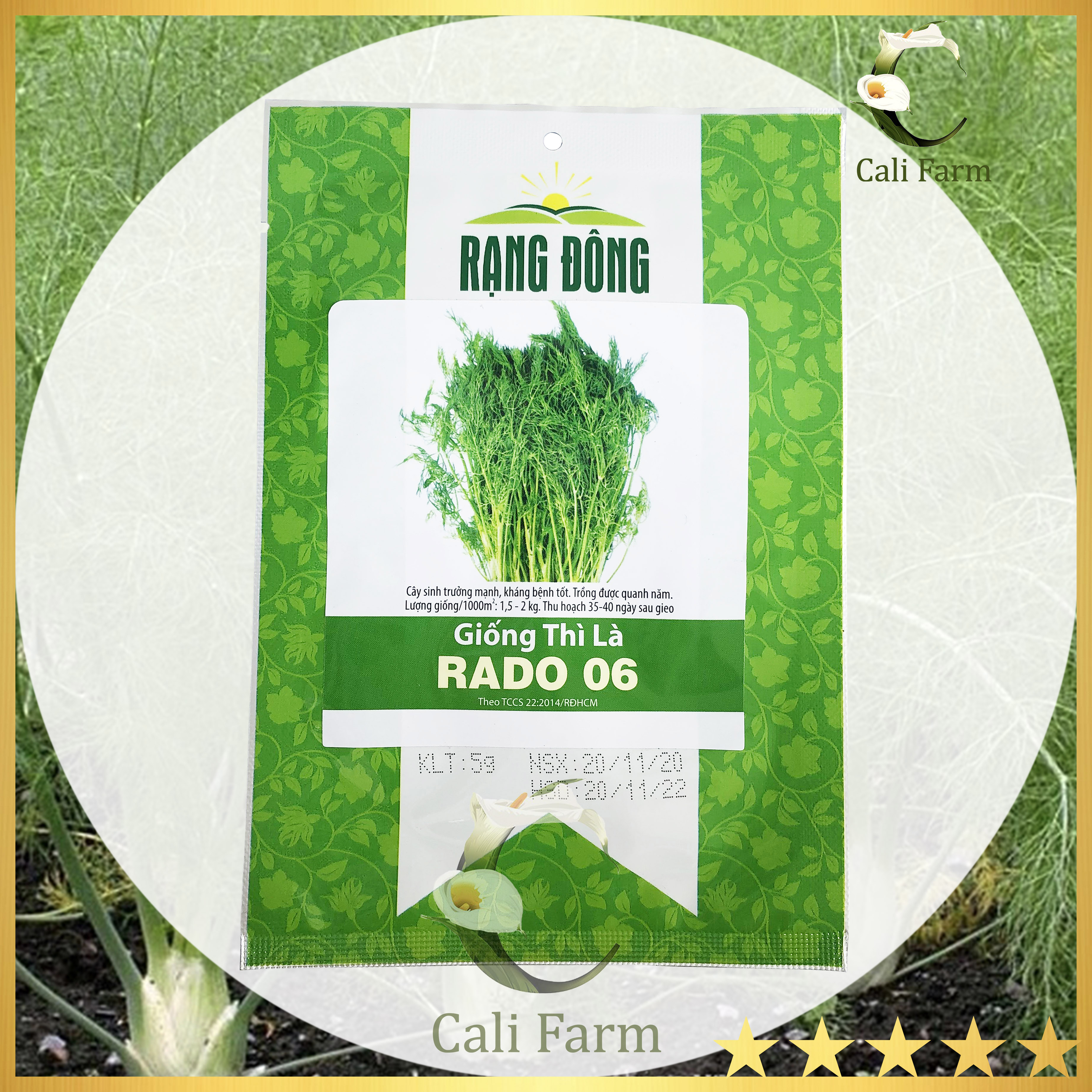 Hạt Giống Thì Là Rado 06