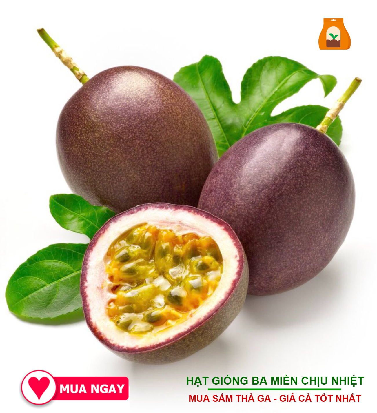 Hạt Giống Chanh Dây Rạng Đông 0.2gram