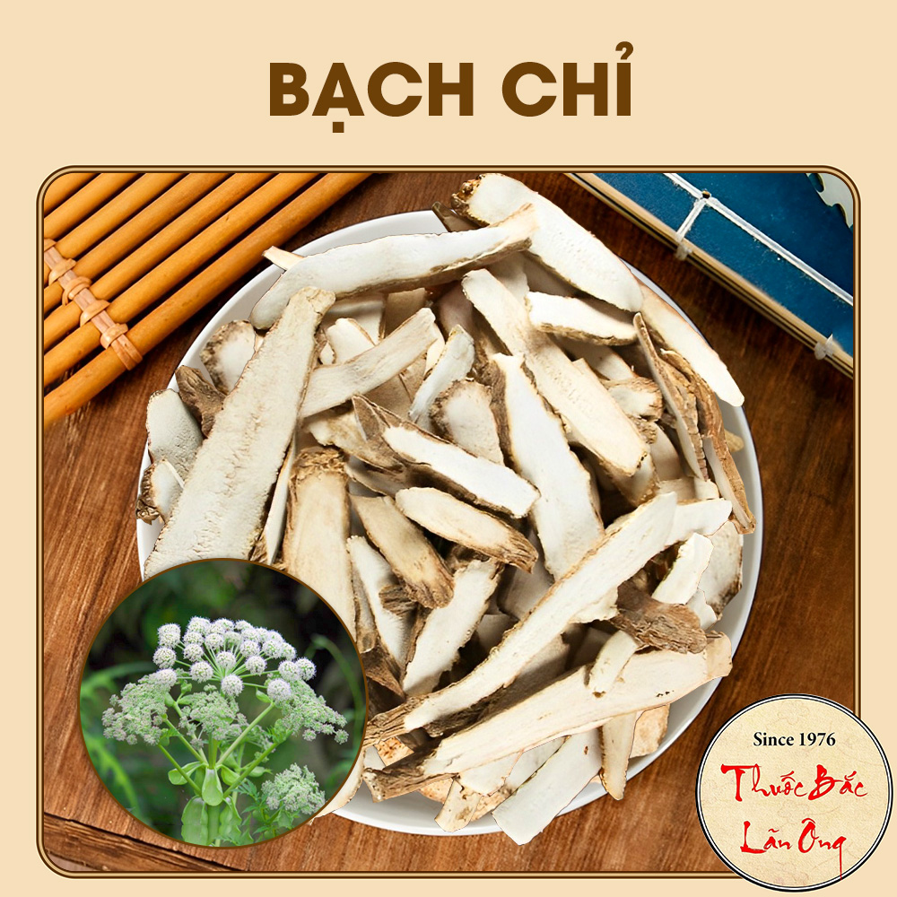 Bạch Chỉ Nguyên Chất 1kg