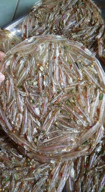 Bánh tráng cá cơm Cà Mau siêu rẻ siêu ngon 500g