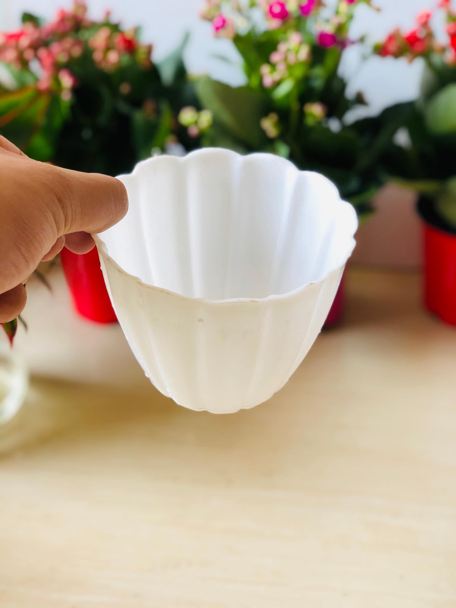 Chậu nhựa trông cây sóng tròn