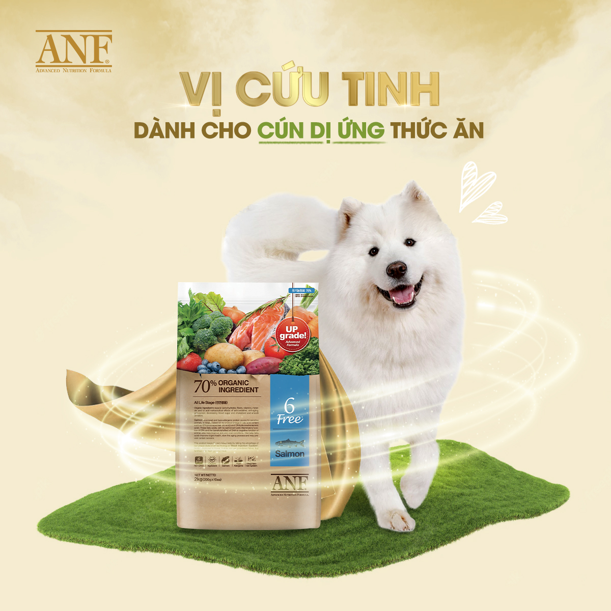 thức ăn ANF 6Free cho chó loại 2kg ( nguyên liệu hữu cơ )  - T3 PETS SHOP