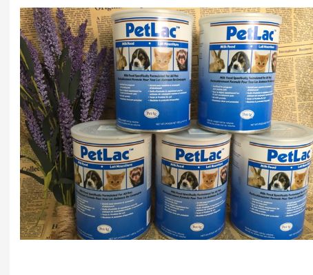 SỮA BỘT PETLAC CHO THÚ CƯNG 300GR - sữa cho thú cưng
