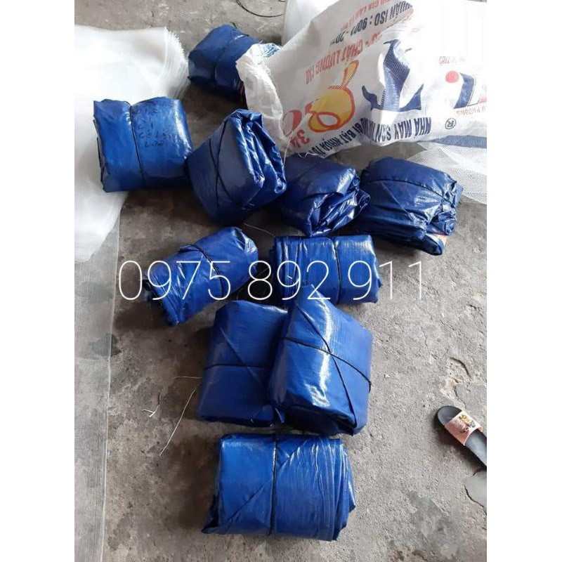 BỂ BẠT NUÔI ỐC , ẾCH ,CÁ , RUỒI LÍNH ĐEN - LOẠI 1