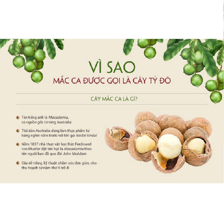 250g Nhân Macca Bò Đội Nón