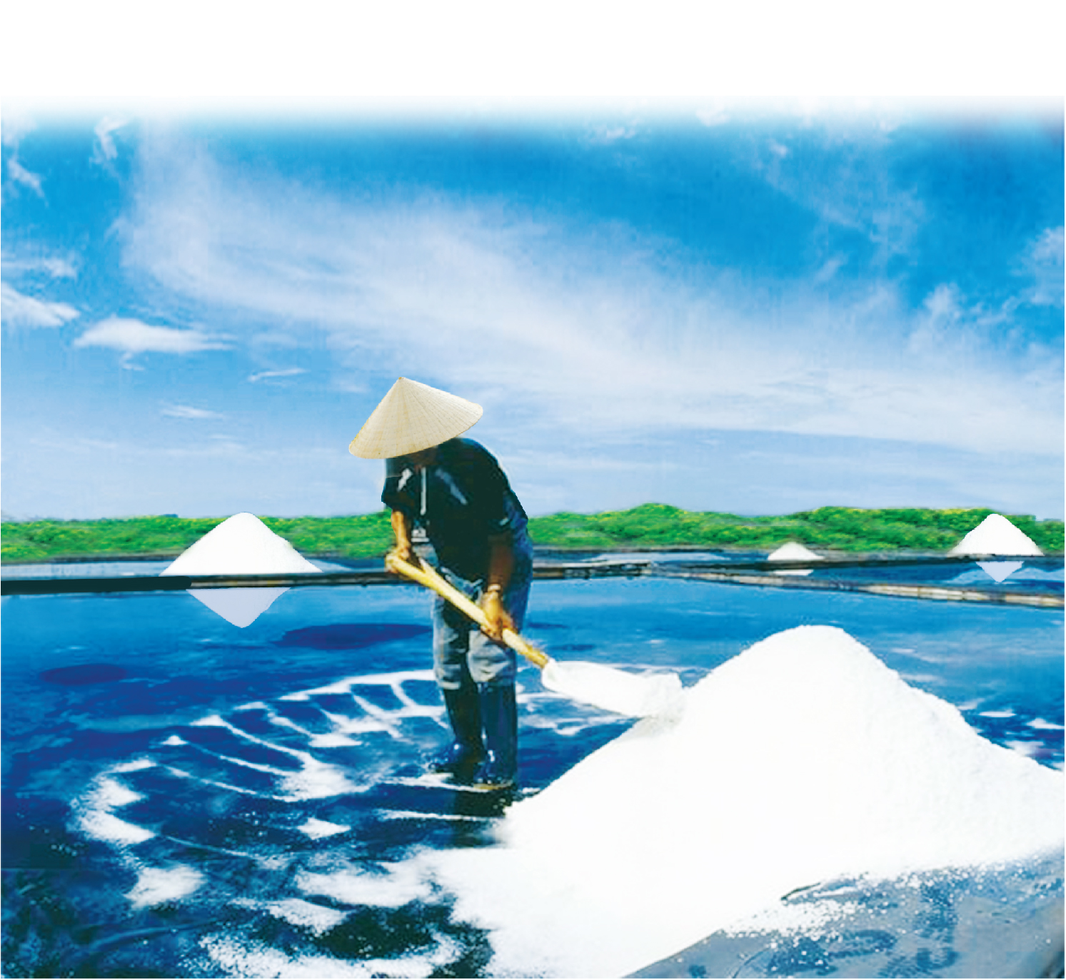Can Gio Sac Forest Fermented Salt 1kg - Fine Type