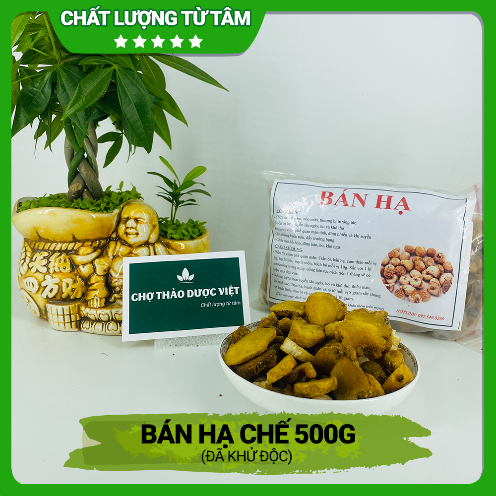 [Giá Sỉ] 500g Bán Hạ Chế