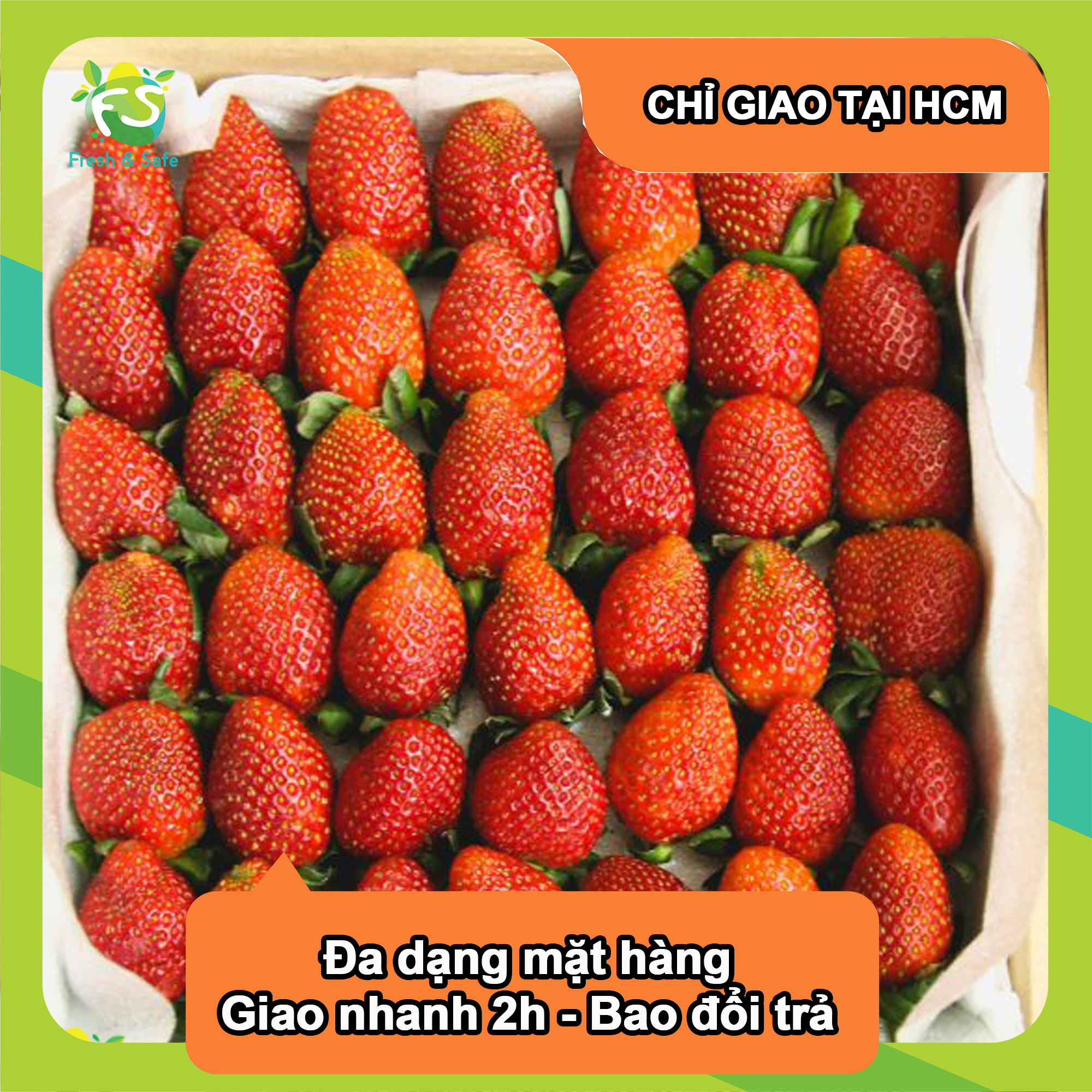 [Hcmc Express] New Zealand Variety of Strawberries
