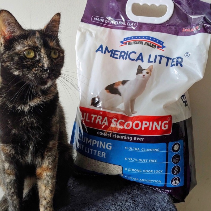 Cát vệ sinh cho mèo America Litter, hàng nhập khẩu