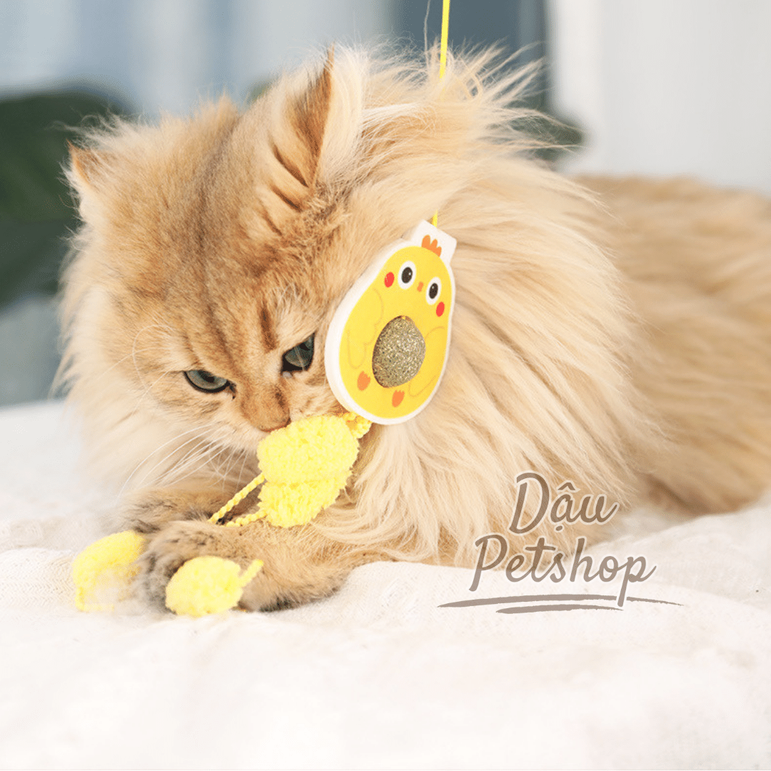 Đồ chơi dán tường dây treo cho mèo