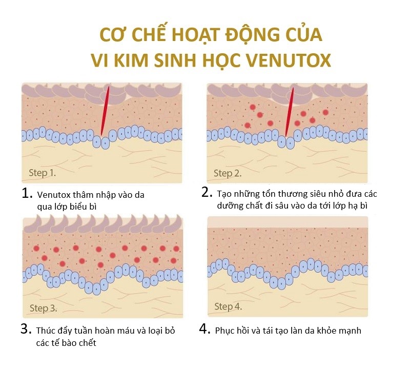 Siêu vi kim trẻ hoá da 10ml