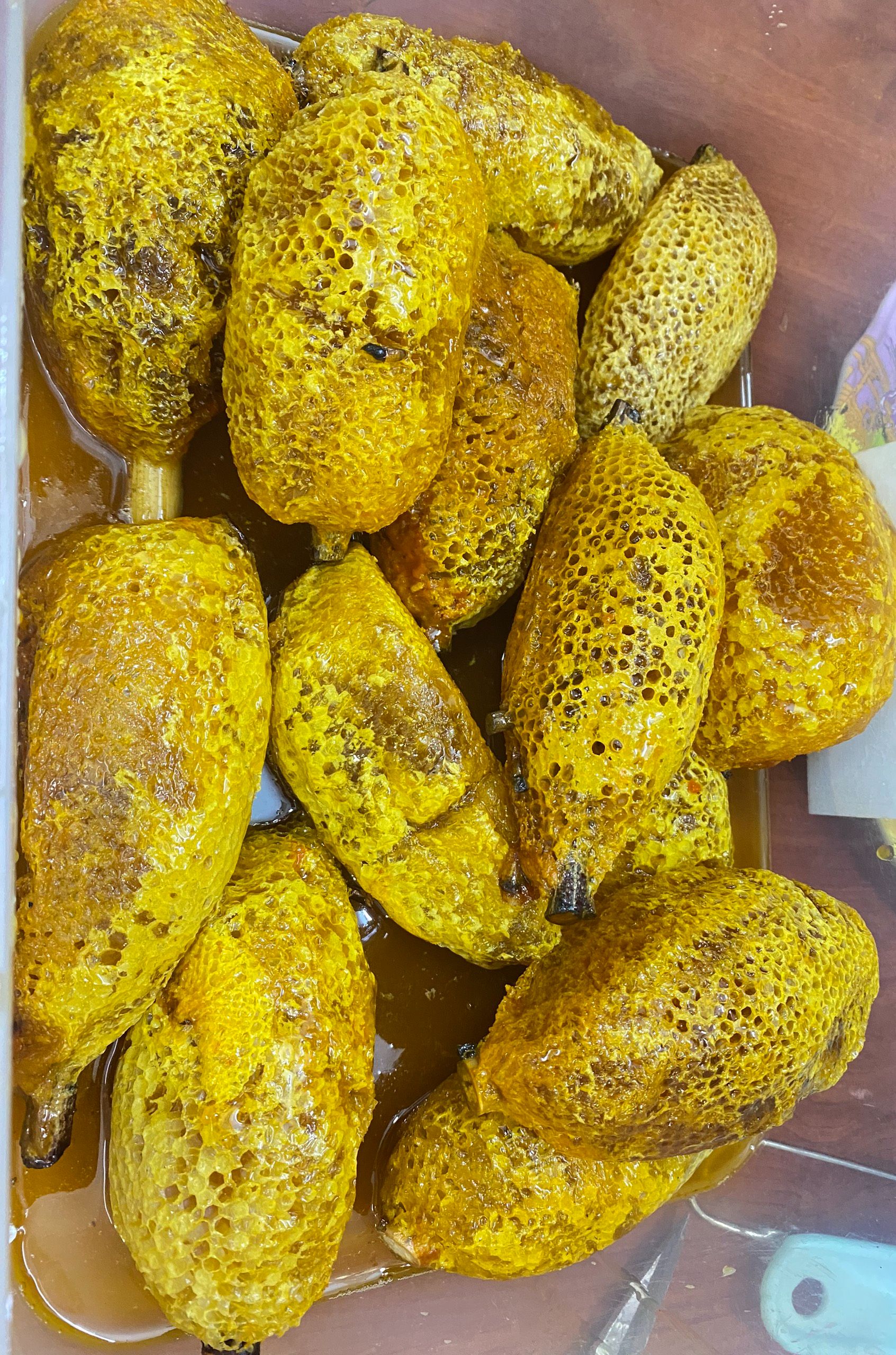 Tổ ong ruồi thiên nhiên