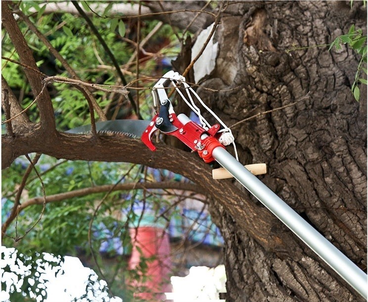 Đầu kéo cưa cành,kéo cắt cành