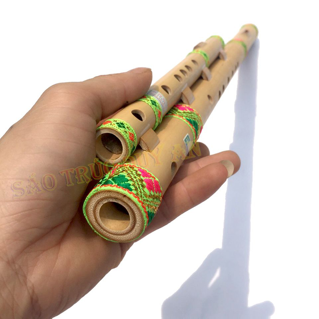 Vietnamese cat double flutes