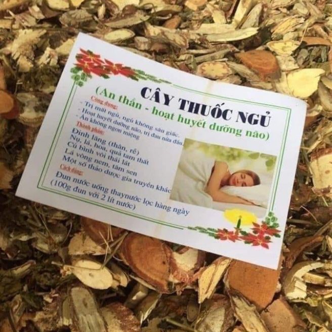 Sỉ toàn quốc 2kg cây thuoc ngu