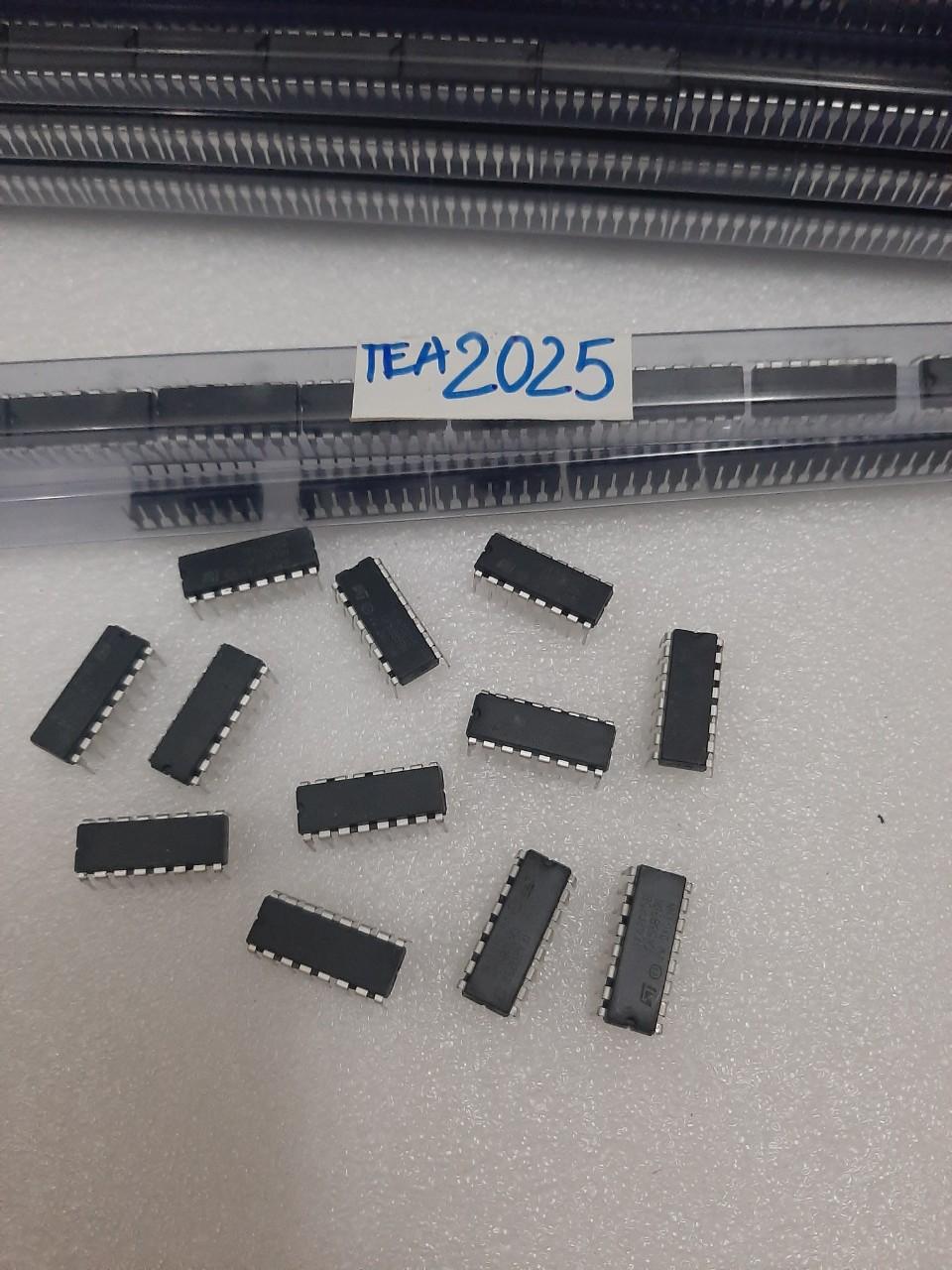 10 con TEA2025