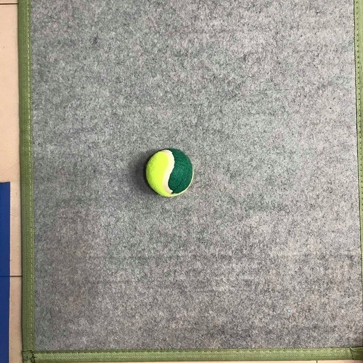 Đồ chơi cho chó bóng tenis