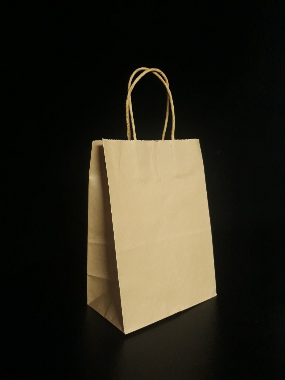 Túi giấy kraft take away (100 túi)