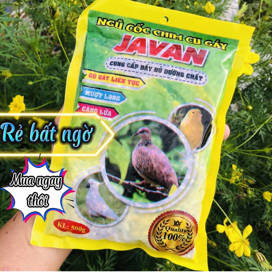 Ngũ cốc chim cu gáy Javan 500gram