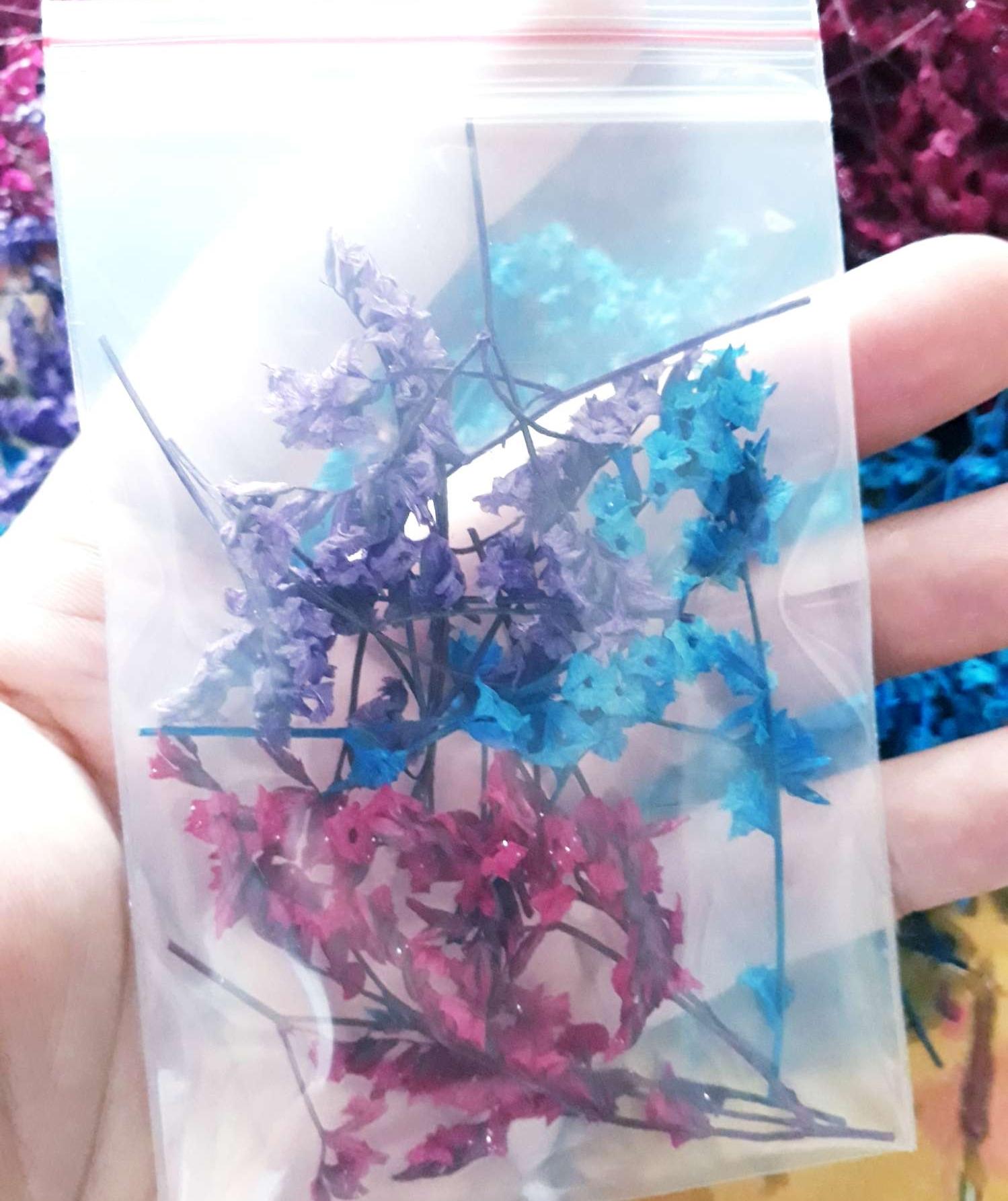 [HCM]Bộ 3 bịch hoa sao khô mini trang trí móng resin