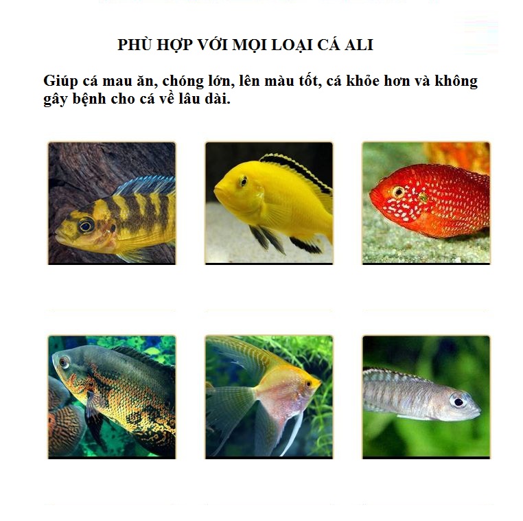 Cám Shanghai hạt nhỏ dành cho cá (gói 100g)