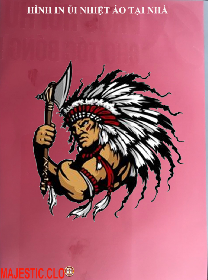 Logo Sticker INDIAN SKULL